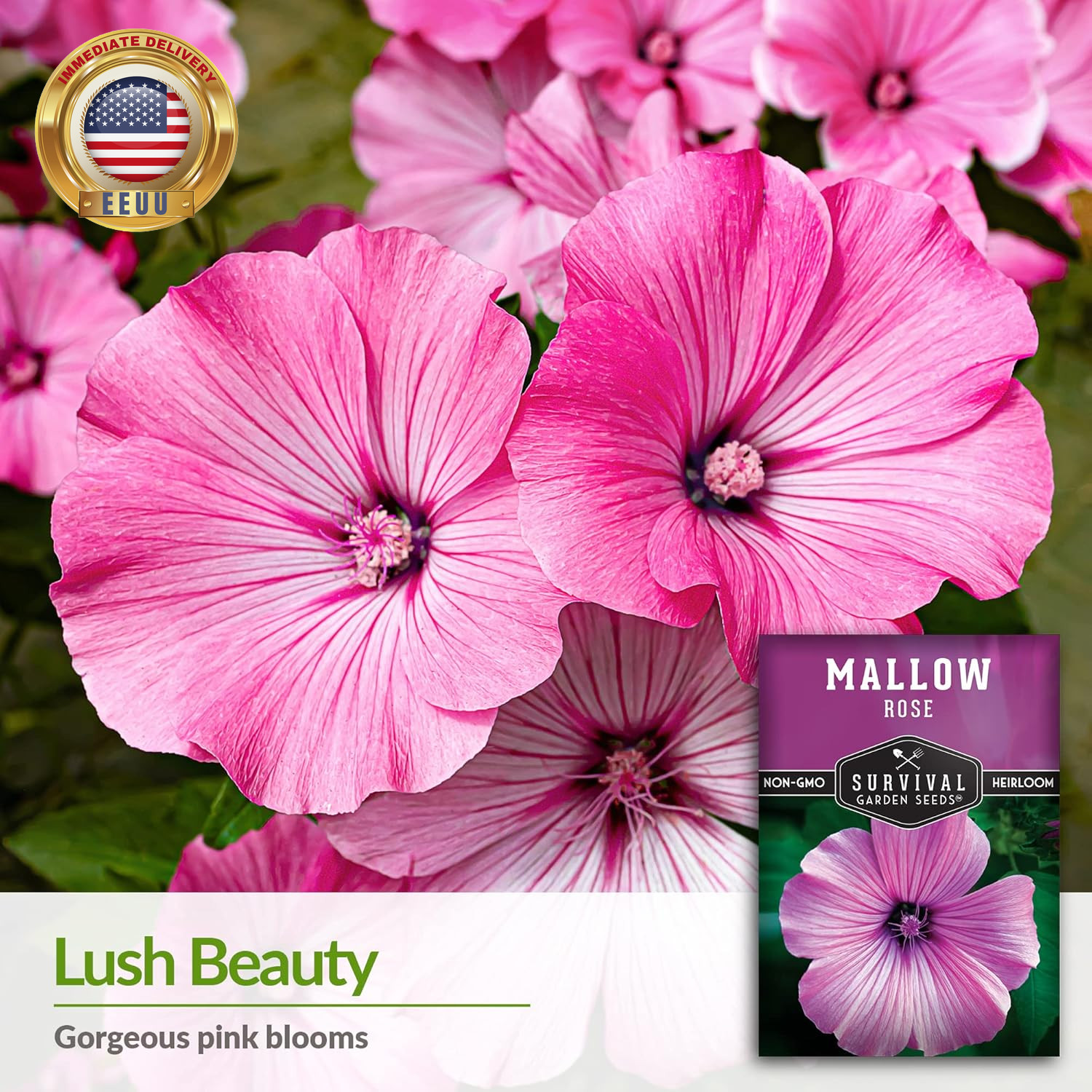 Rose Mallow Seeds for Planting – Annual Lavatera Trimestris with Bright Pink Flo