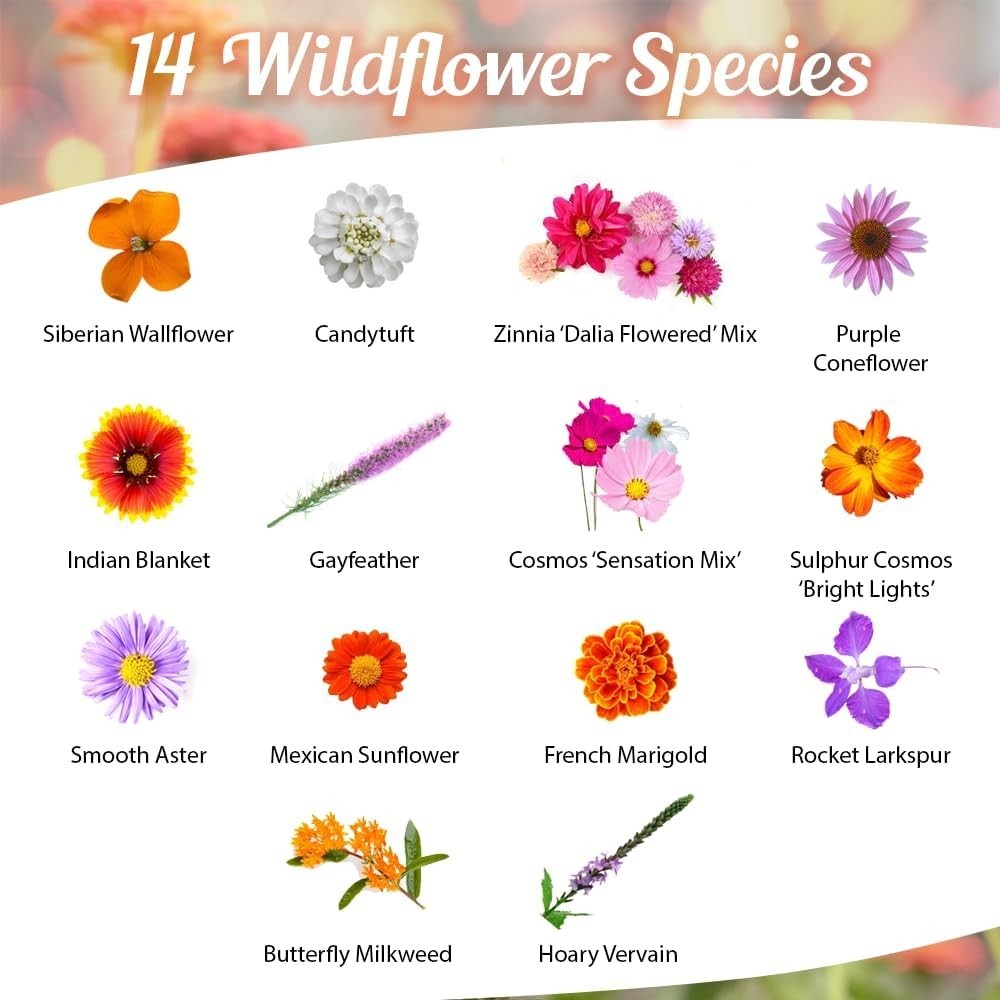 1oz Wildflower Seed Packet for Monarch Butterflies – Gift for Gardeners