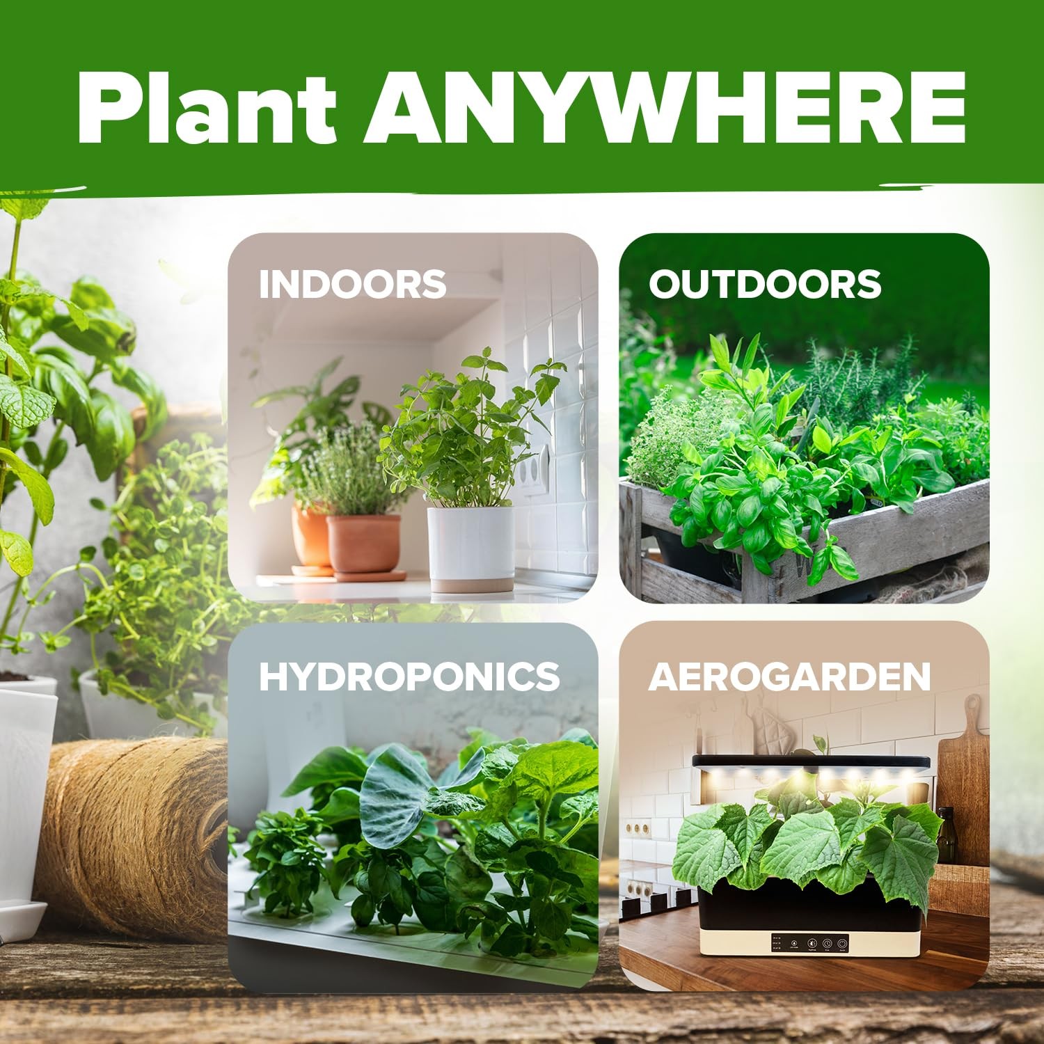 6 Herb Seeds Kit: 3,200+ Non-GMO Heirloom Seeds for Indoor, Outdoor, Hydroponic