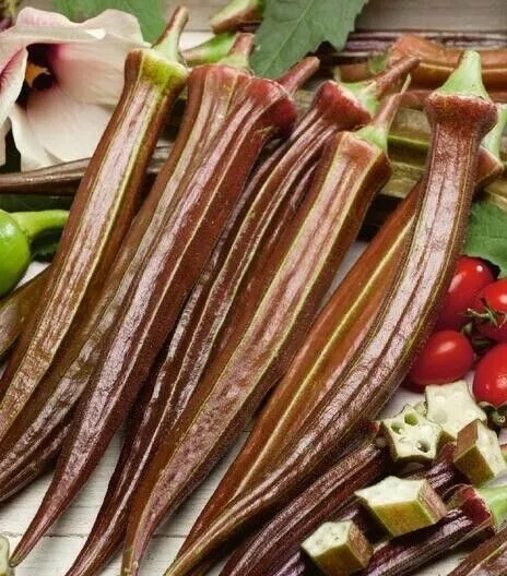 100+ Red Burgundy Okra Seeds – NON GMO — Heirloom — FRESH