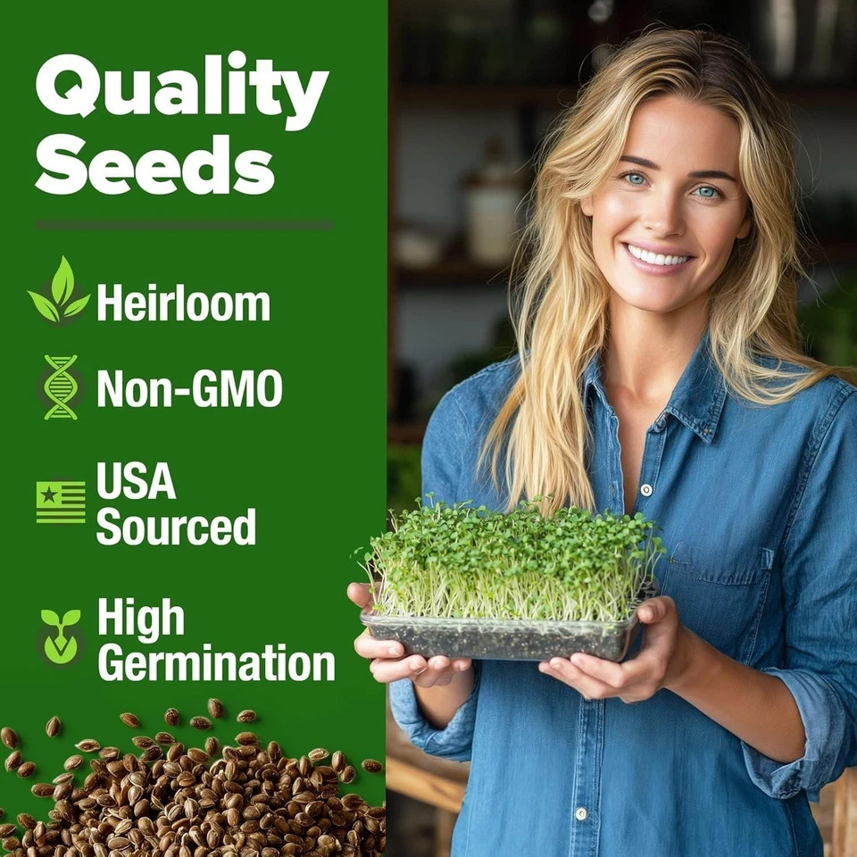 Broccoli Sprouting & Microgreens Seeds – 64,200 Non-GMO Heirloom