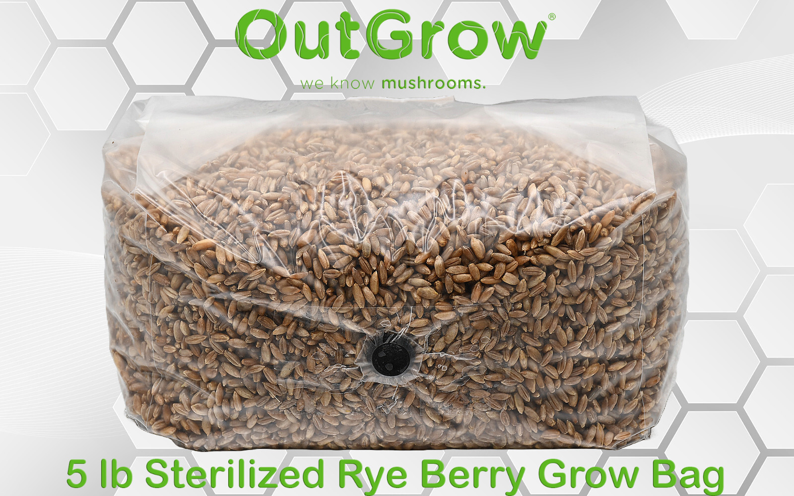 Sterilized Rye Berry Grow Bag (5lb)