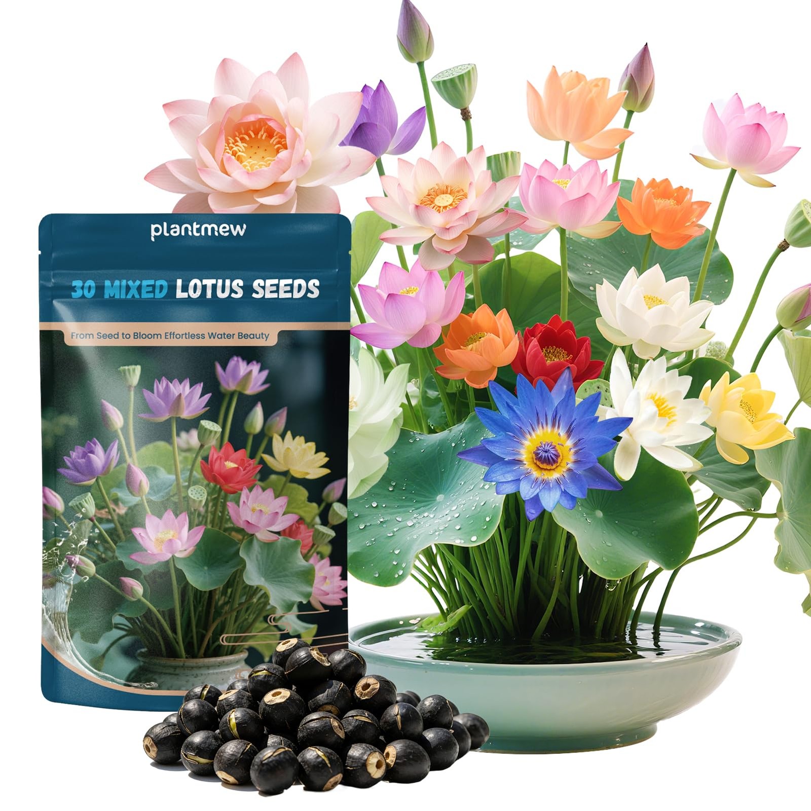 Lotus Seeds for Planting in Water | 30 PCS Mixed Color Bowl Lotus Seeds for I…