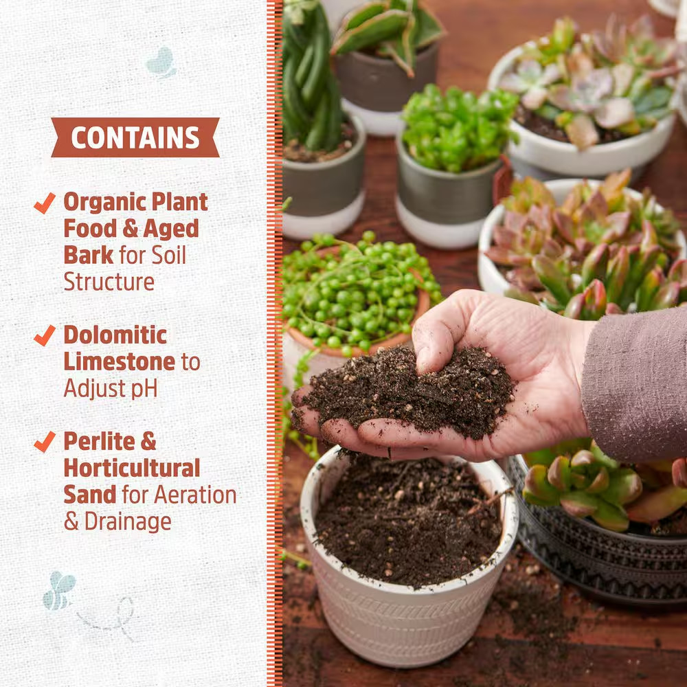 6 Qt. Organic Succulent & Cacti Mix Soil (2-Pack)