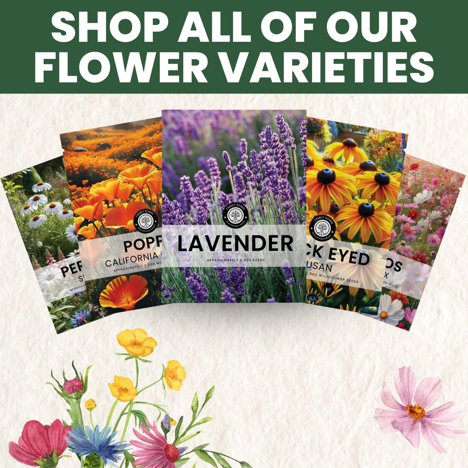 Lavender Seeds 5,000 Count for Planting 2026 Season 5g Pouch