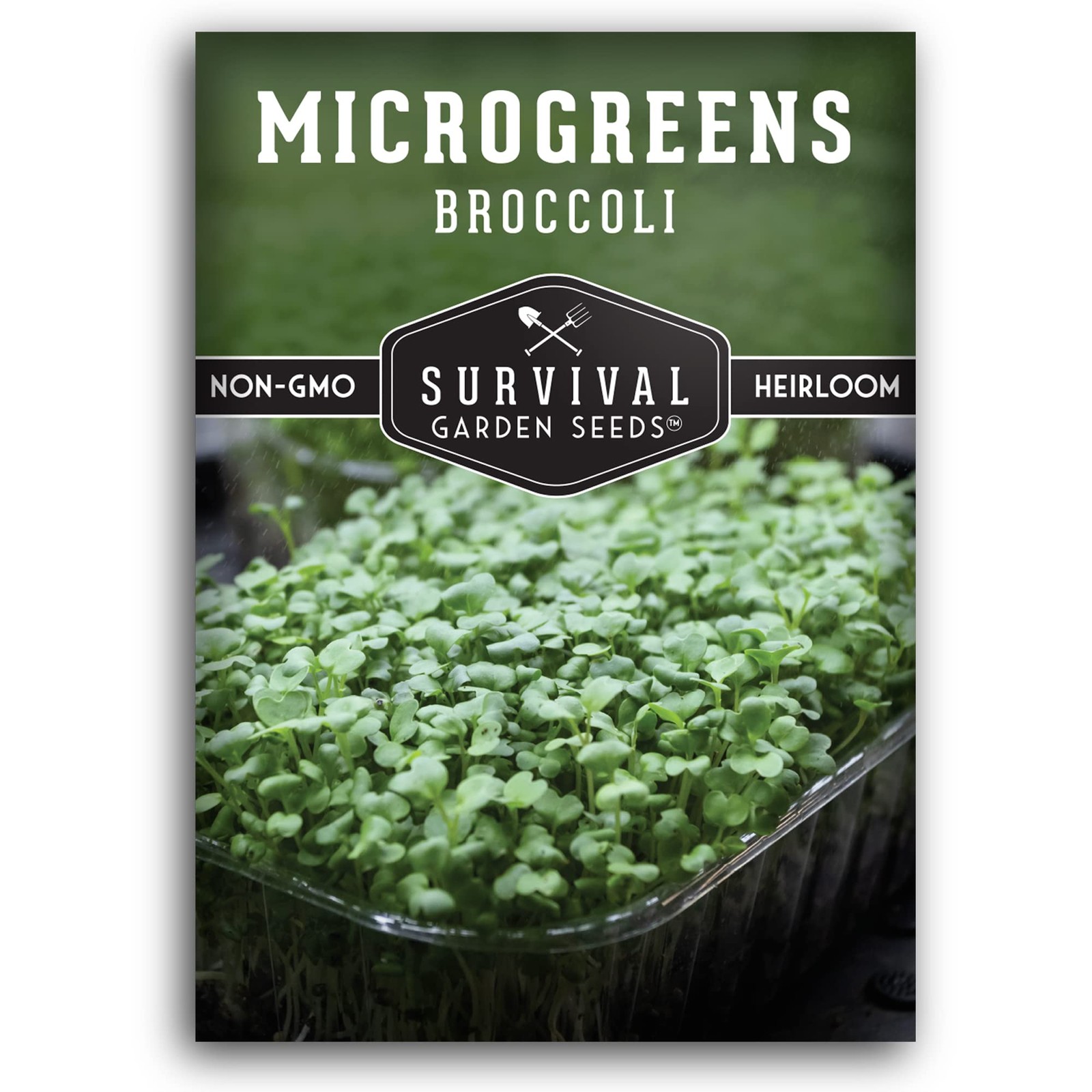 Broccoli Microgreen Seeds for Planting – Non-GMO Heirloom Green