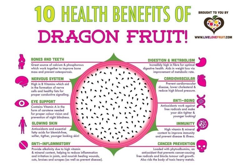 50 Red Dragon Fruit Seeds Pitaya Pitahaya Hylocereus Undatus Cactus Grow Rare