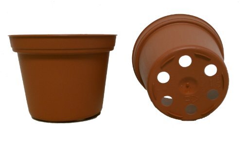 50 NEW 3 Inch Plastic Nursery Pots TEKU ~ Pots ARE 3 Inch Round At the Top an…