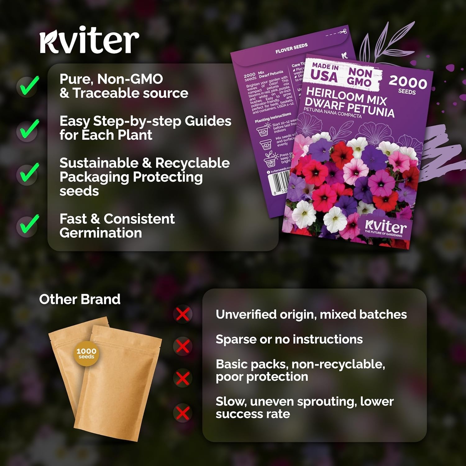 2000 Mixed Dwarf Petunia Seeds for Vibrant, Long-Lasting Blooms