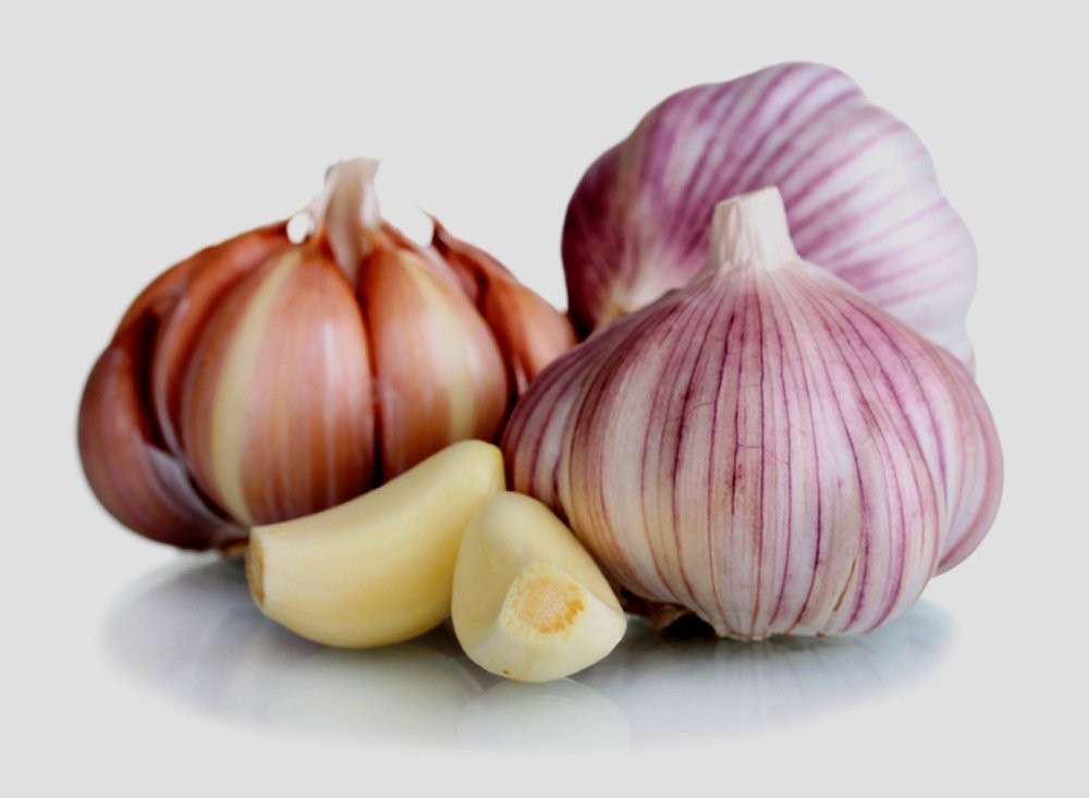 Garlic bulb (3 pack) fresh siberian hardneck for planting and growing Purple