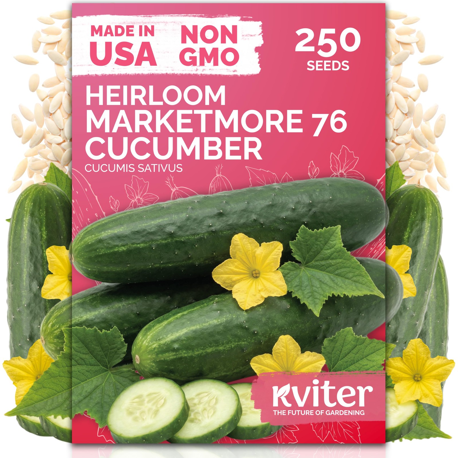 KVITER 250 Marketmore 76 Cucumber Seeds (Cucumis Sativus)
