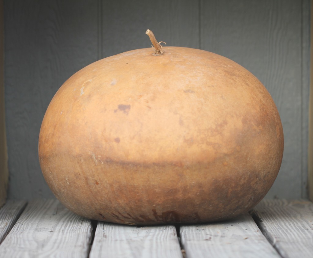 Bushel Basket Gourd, Lagenaria siceraria, Seeds