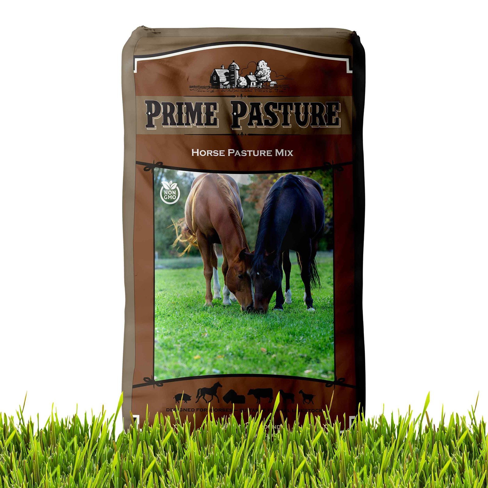 25 LBS Horse Pasture Grass Seed