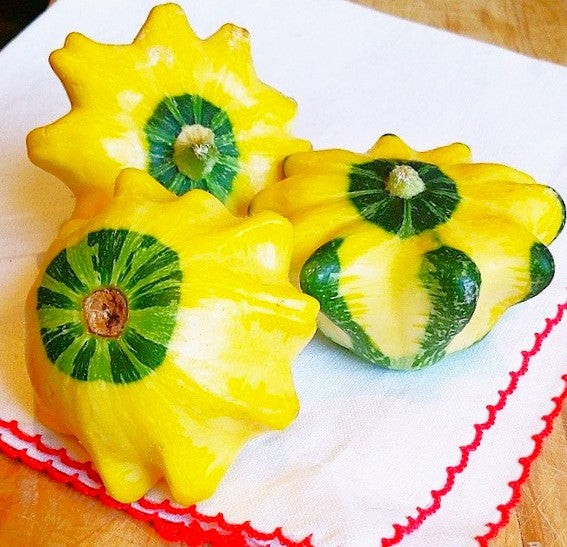 Yellow and Green Bicolor Patty Pan (Bush Scallop Squash) Seeds – 2025 Planting
