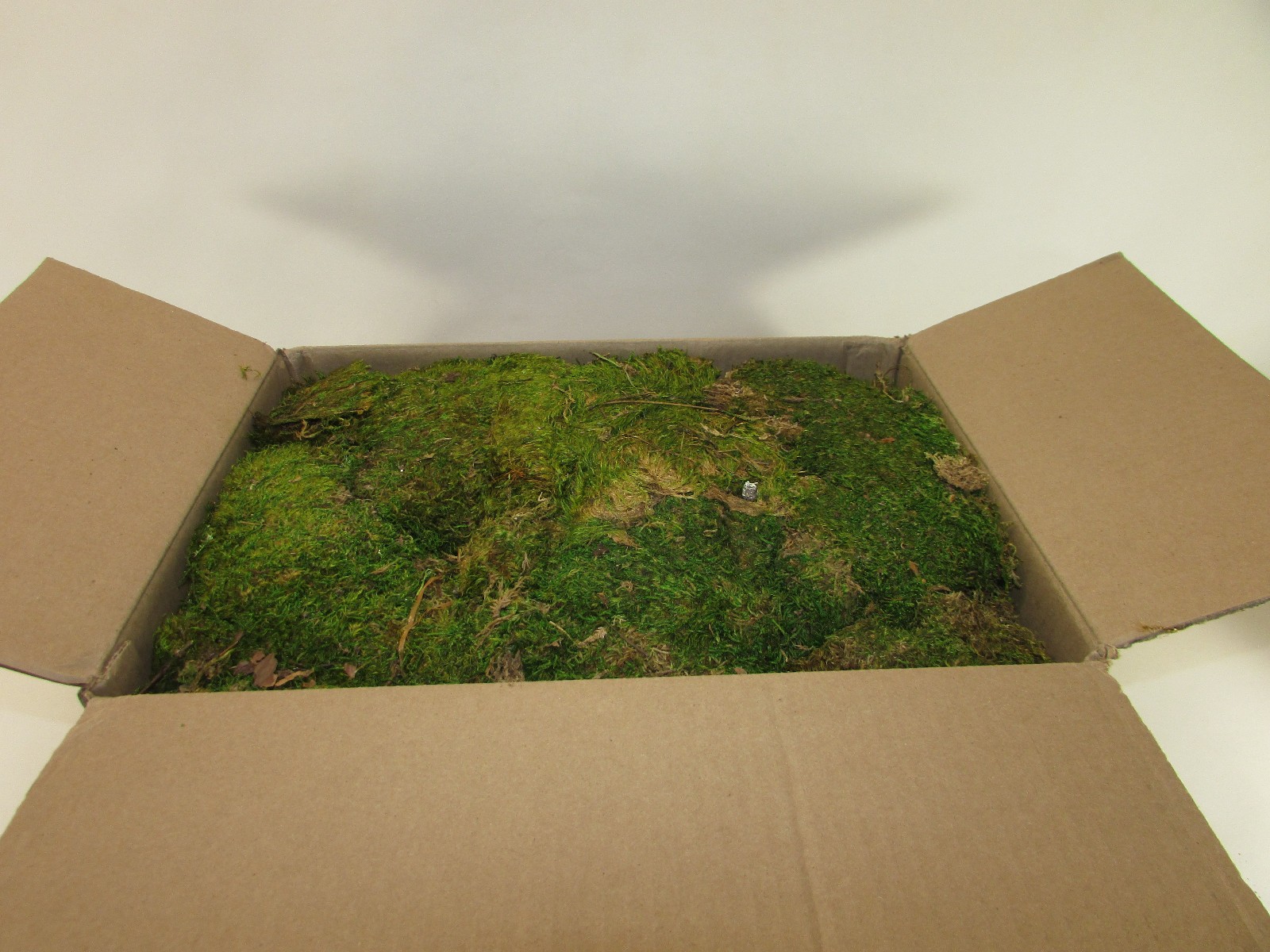 SuperMoss Dried Sheet Moss 1560 Cu In Natural Craft Garden Moss