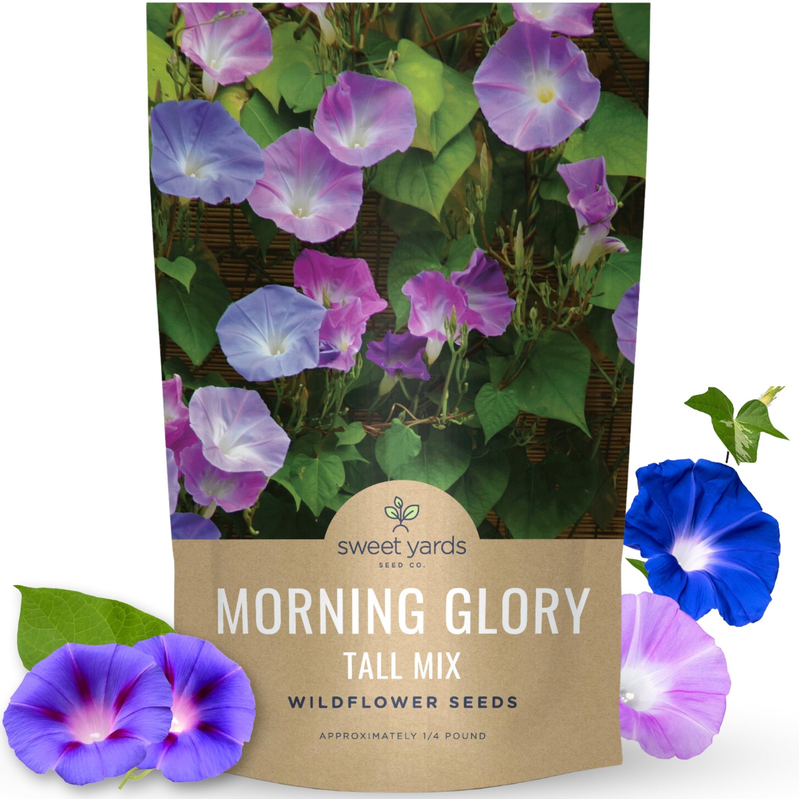 Morning Glory Tall Mix Bulk 1/4 Pound Pouch 3,000 Flower Seeds for Planting…