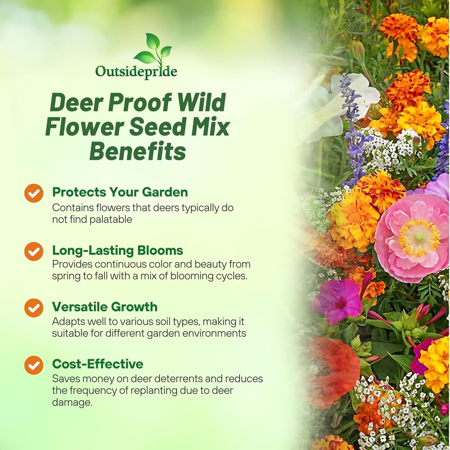 5 LBS Deer Resistant Wild Flower Seed Mix – available in bulk