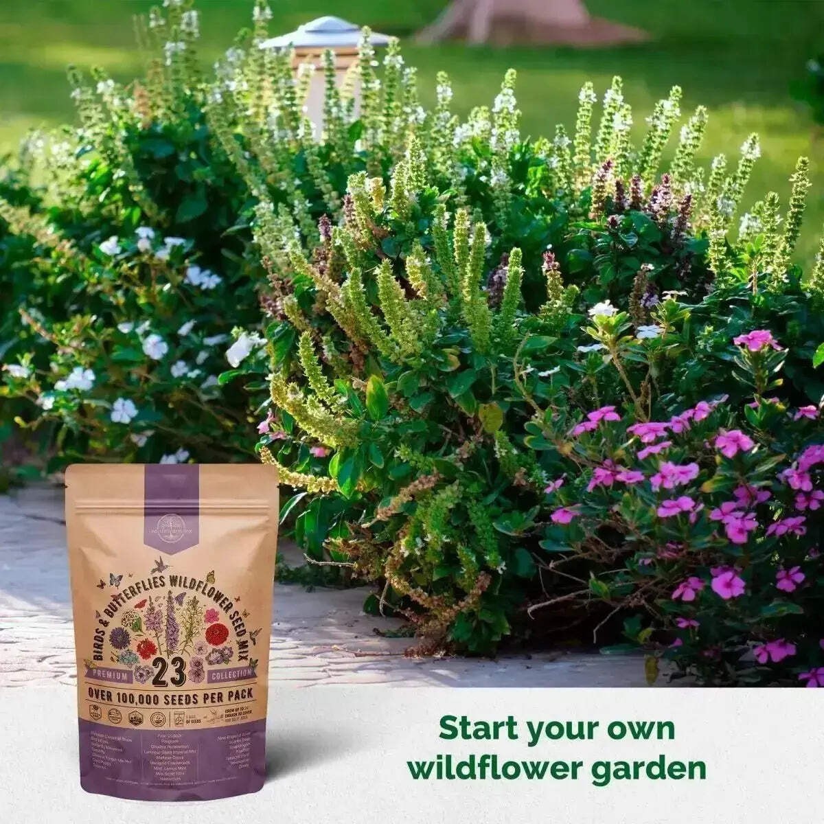 23 Birds & Butterflies Wildflower Seeds Mix