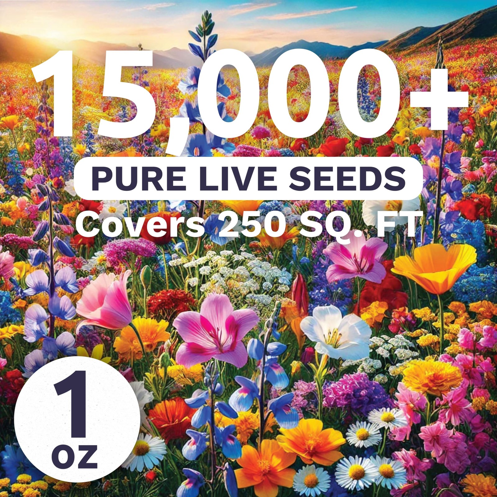 Midwest Regional Mix – Large 1 Ounce Packet – 15,000 Flower Seeds for Plantin…