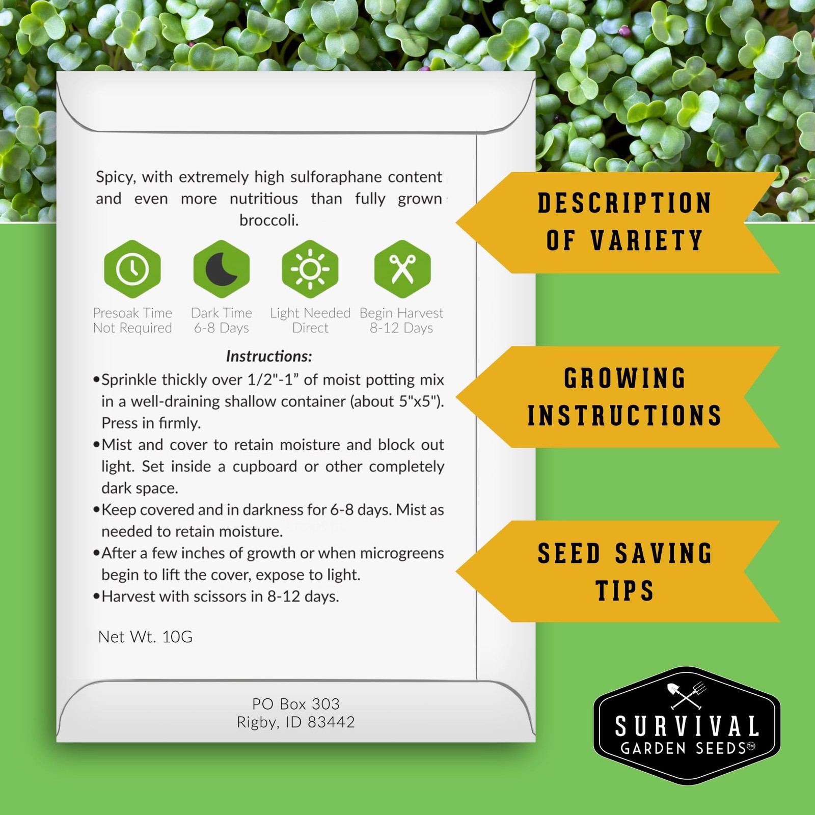 Broccoli Microgreen Seeds for Planting – Non-GMO Heirloom Green