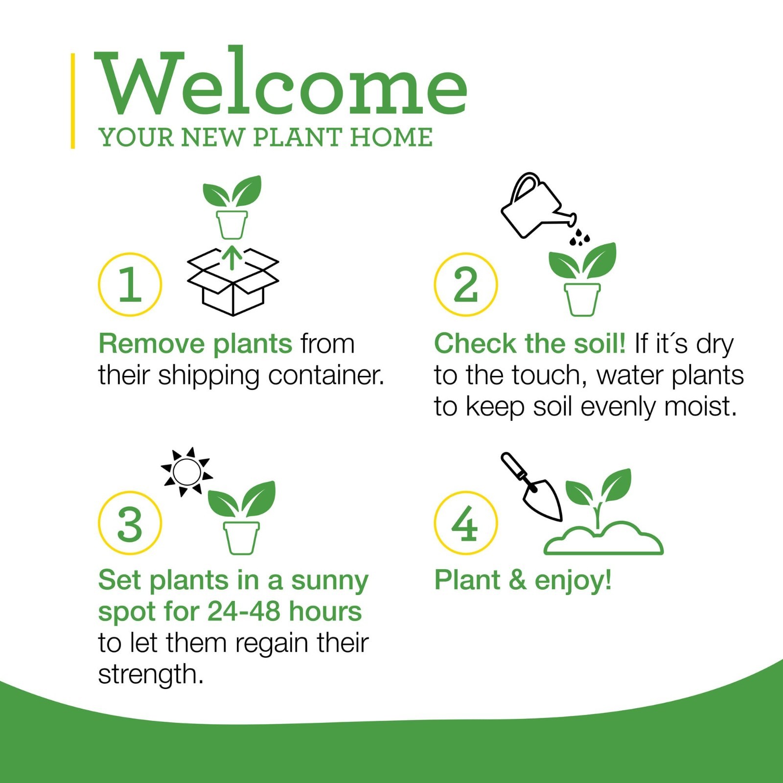 Jalapeno Hot Pepper Live Plants with Miracle-Gro Plant Food, 4-Pack for Gardens