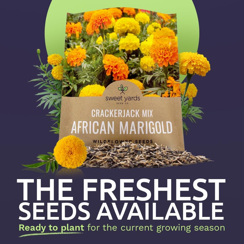 Sweet Yards African Marigold Seeds Mix 1 Ounce (Pack of 1), Orange