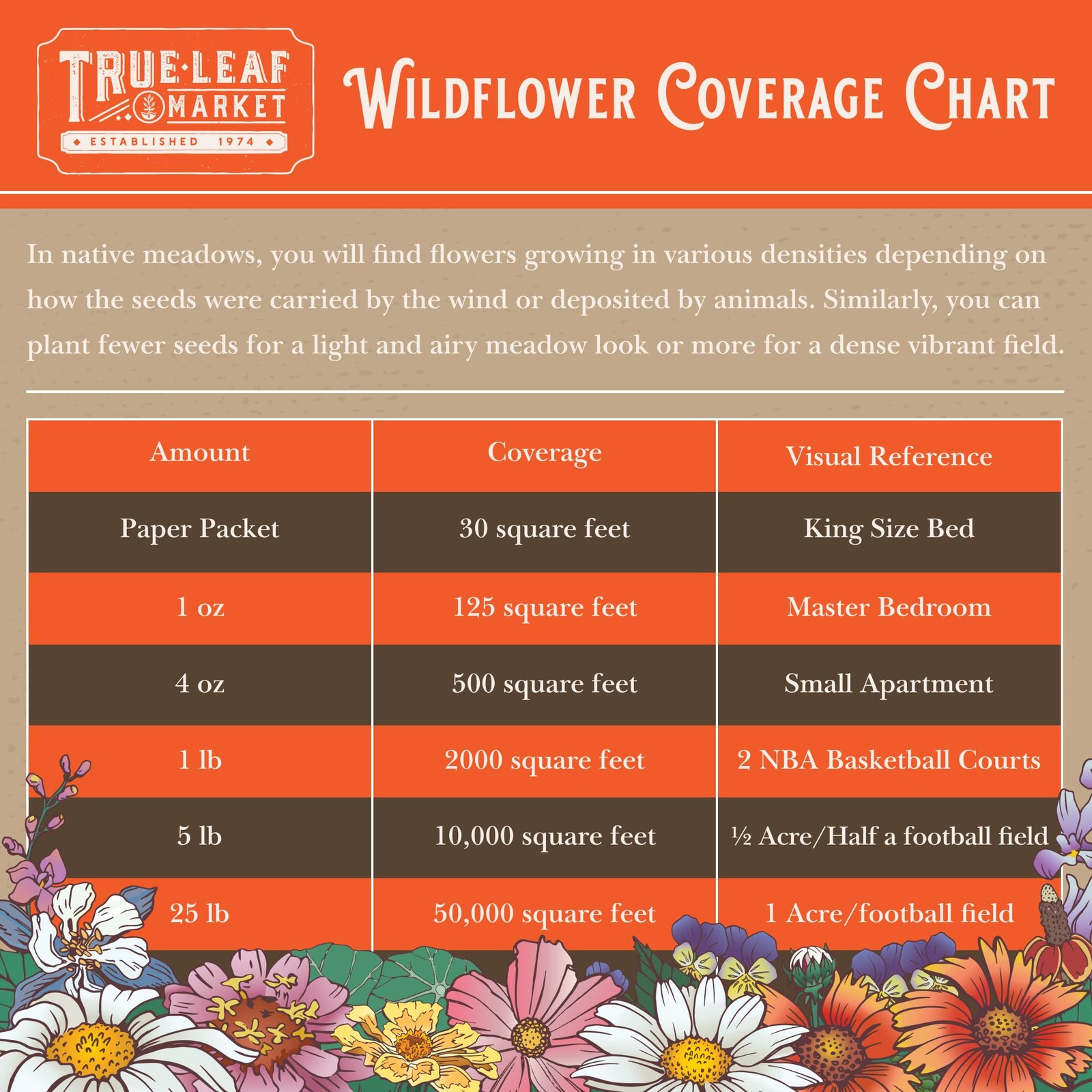 Mountain Valley Seed Co Wildflower Seed 2 Oz. 80,000+ Seeds – Save the Bees