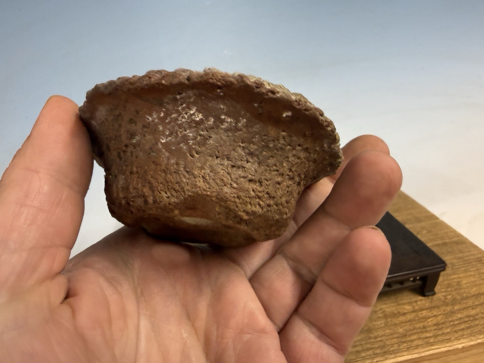 Japanese Unknown Maker Shohin Bonsai Tree Pot 3 1/2 By 1 1/4” Unique Unglazed