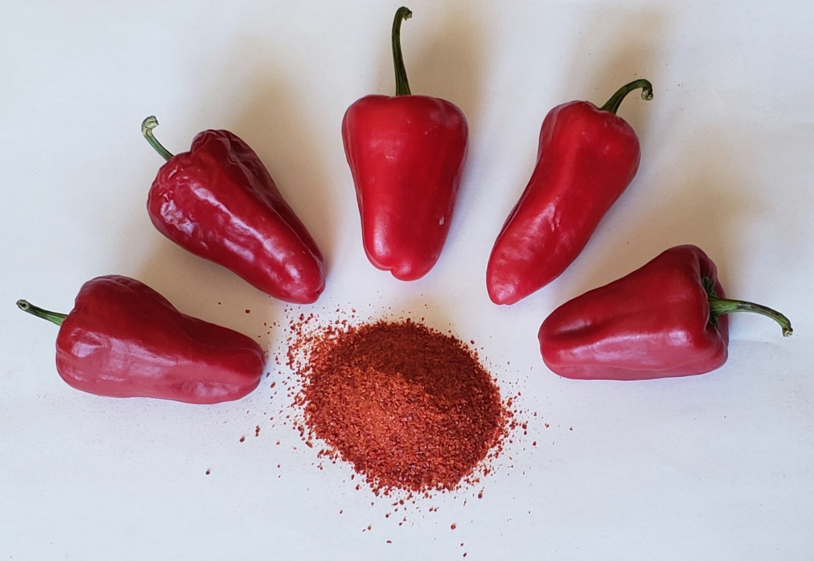 Leutschauer Paprika Pepper (25 Seeds) Free Shipping, great for paprika!