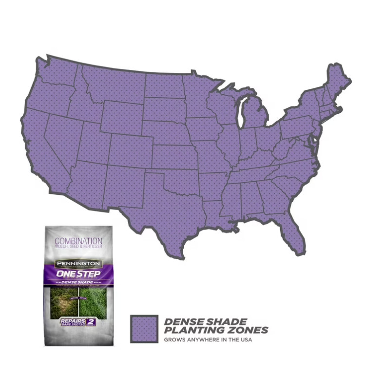 PENNINGTON GRASS SEED Dense Shade Patch & Repair Mix, Partial to Full Shade