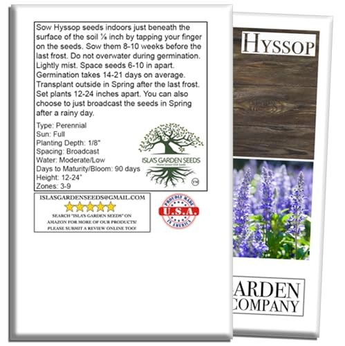 Hyssop Seeds (Hyssopus officinalis) – 1500+ Non-GMO & Heirloom Seeds by Isla’s