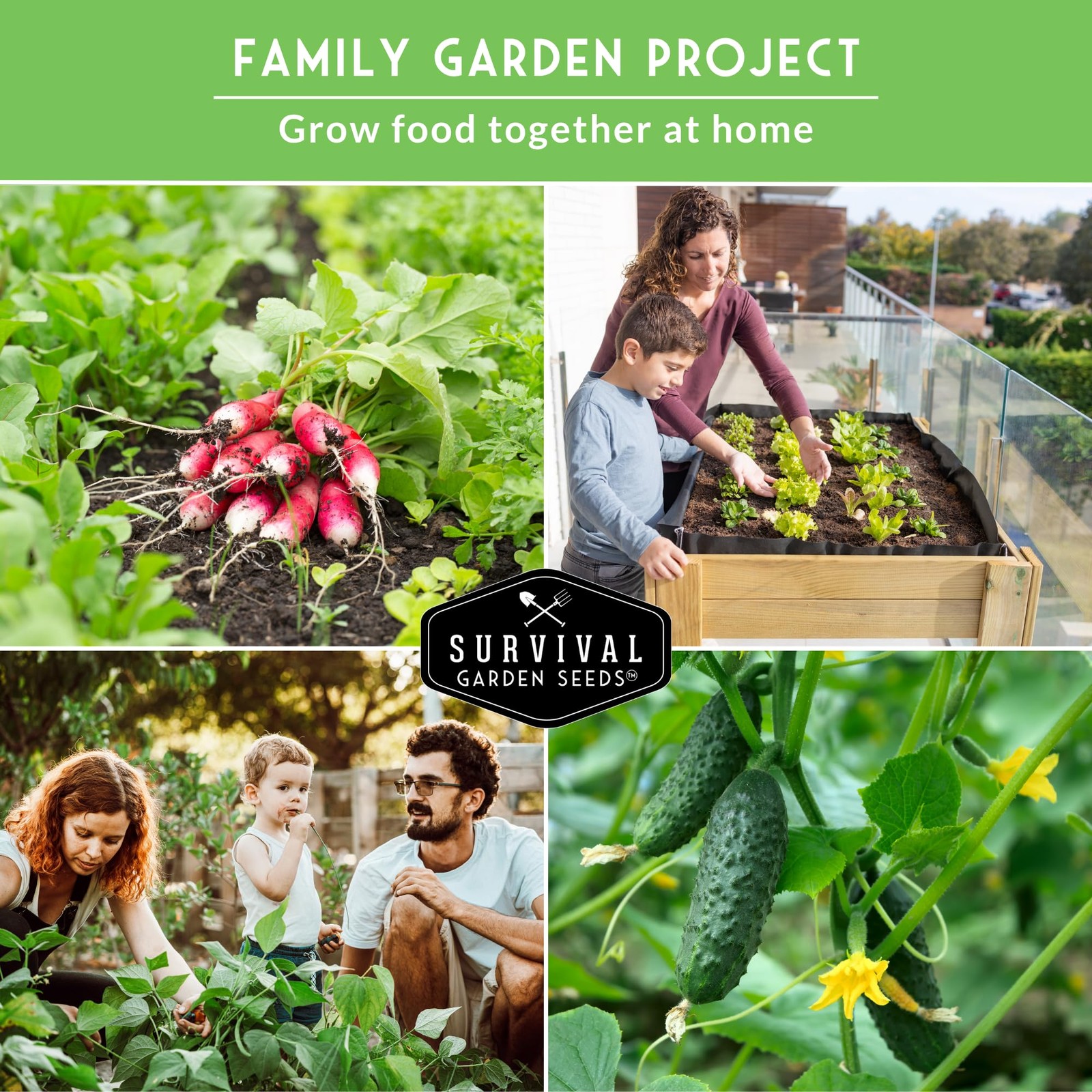 Survival Garden Seeds Kids’ Easy Collection – Cucumber, Multicolor