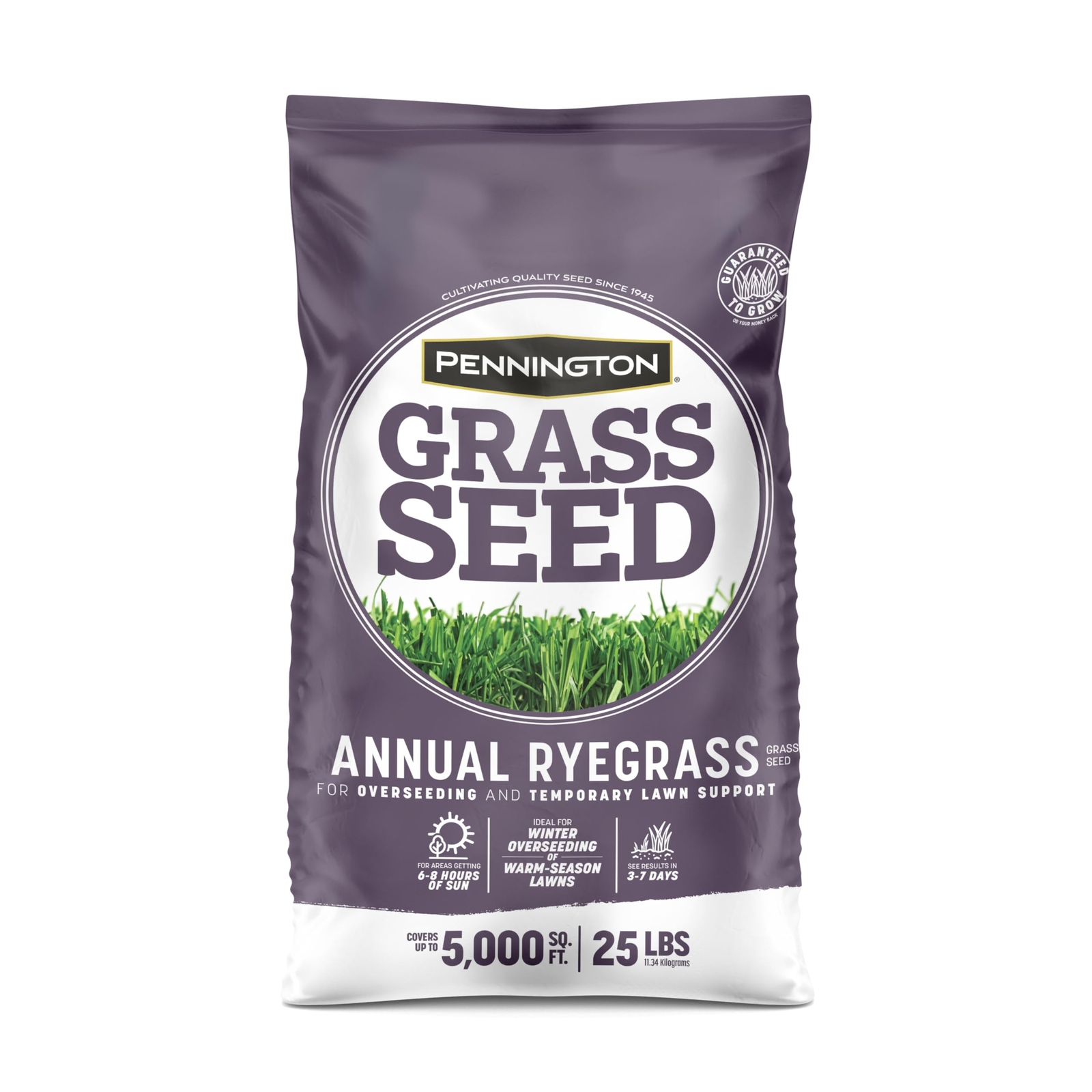 Pennington Annual Ryegrass 25 lb Bag for Overseeding Warm Season Grasses