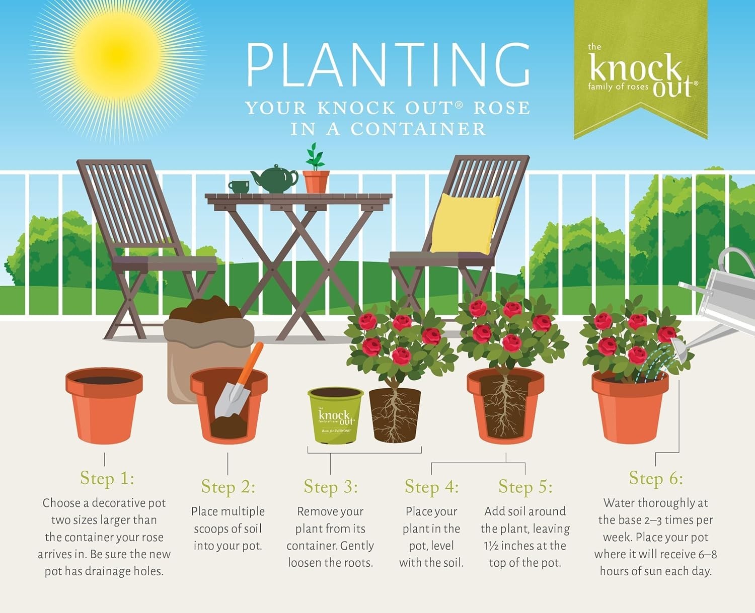 Knock Out 2 Gal. Double Pink Rose Shrub