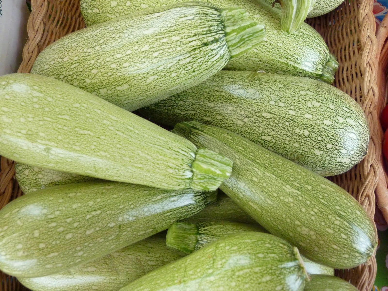 5 Species Mix Summer Squash Seeds | Heirloom Zucchini Bush Patty Pan Seed 2024