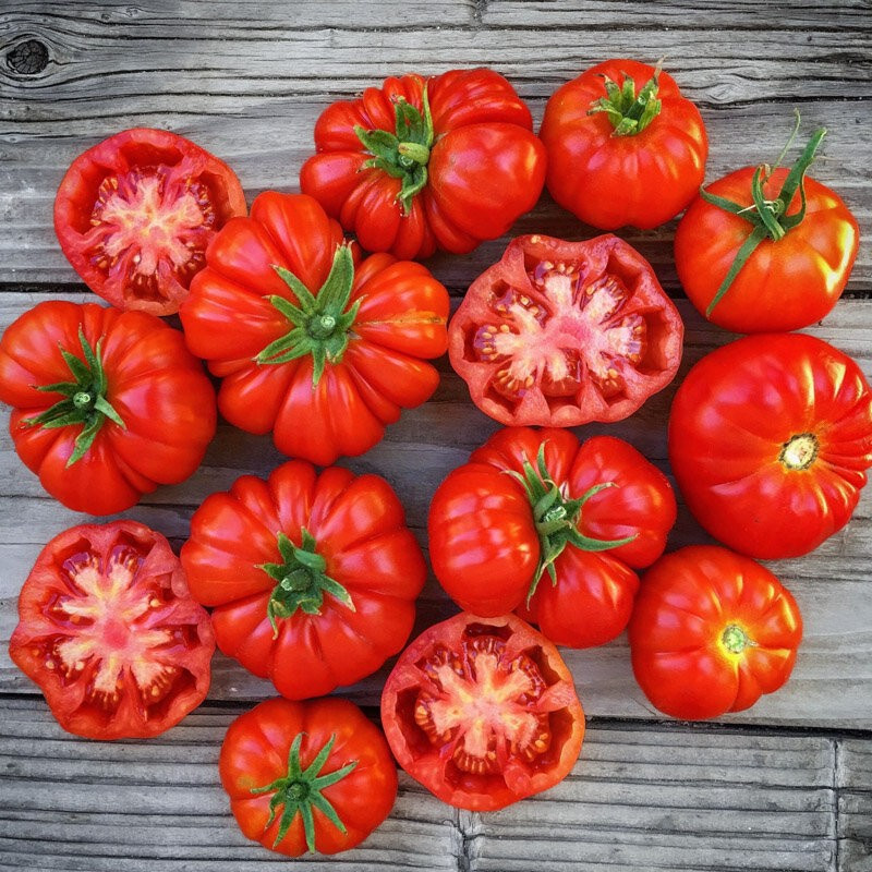 120+ TOMATO SEEDS — ROSS0 SICILIAN —- HEIRLOOM — ORGANIC ——– RARE