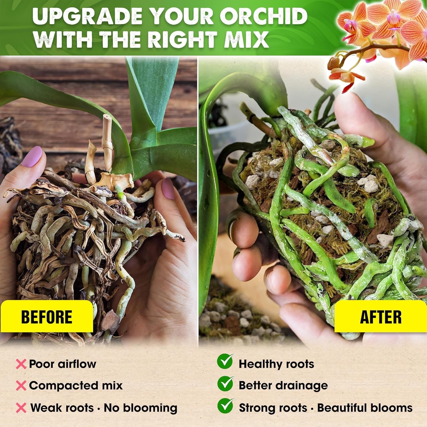 Optimal Orchid Growing Medium: 2025 Upgraded 1 Quart Potting Mix for Indoor Care