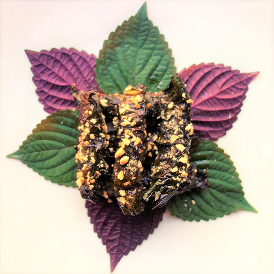 Vietnamese Perilla (Shiso) Seeds | La Tía Tô Asian Mint Thai Basil Seed for 2024