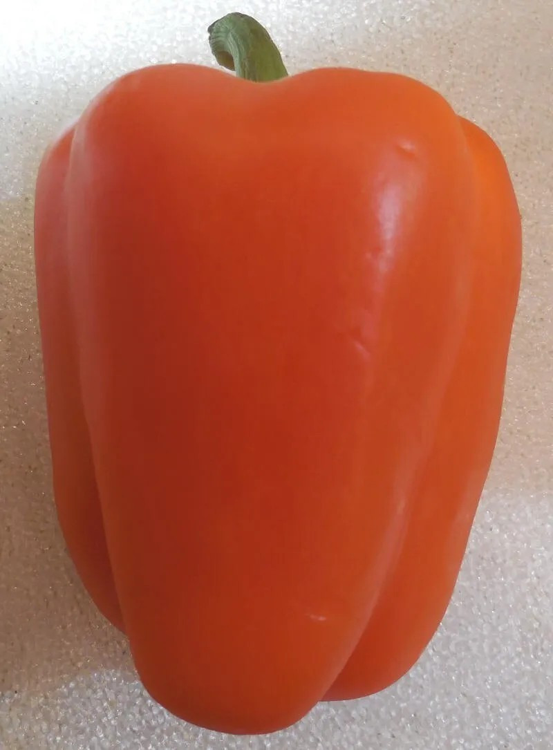 240+ Orange King Bell Pepper Seeds – Sweet – Heirloom – Organic – NON GMO
