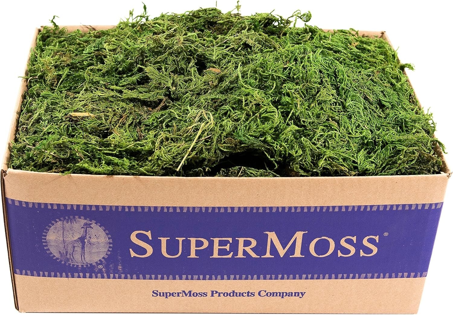 Forest Moss Preserved, Fresh Green, 3 Pounds