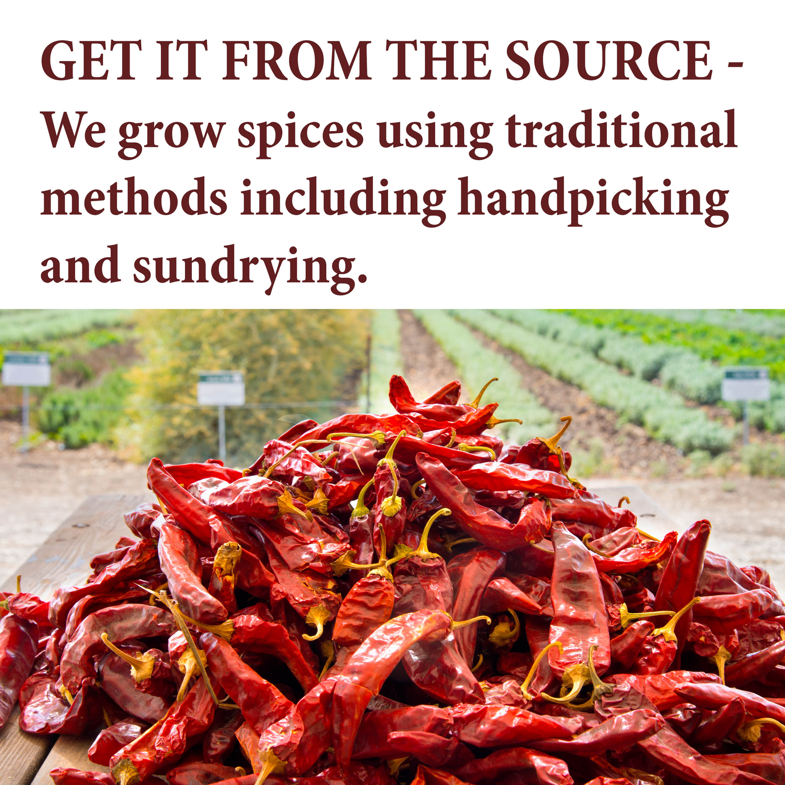 The Spice Way Urfa Biber