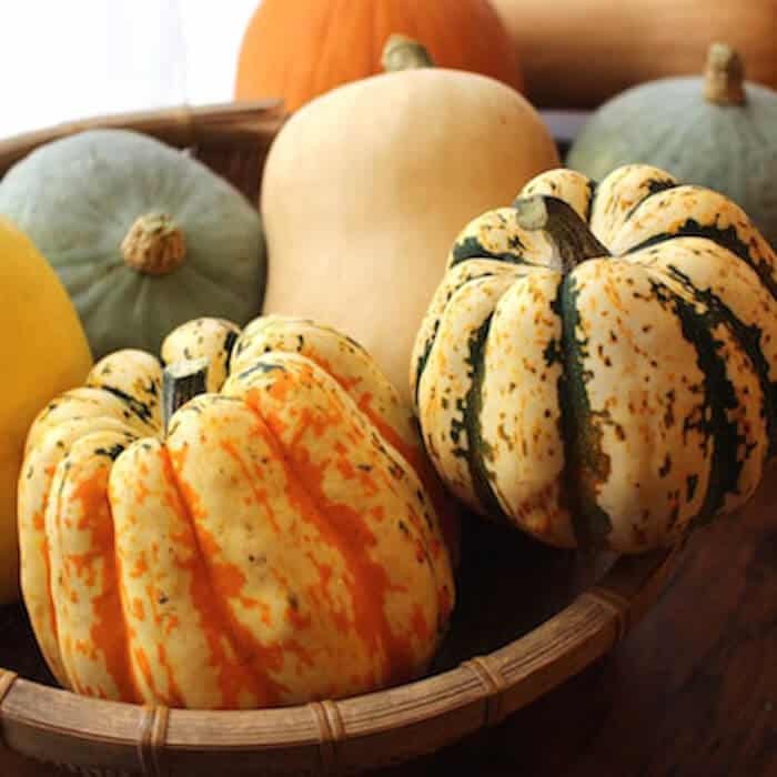 Sweet Dumpling Squash Seeds | Carnival Acorn Delicata Kabocha Fall Pumpkin 2024