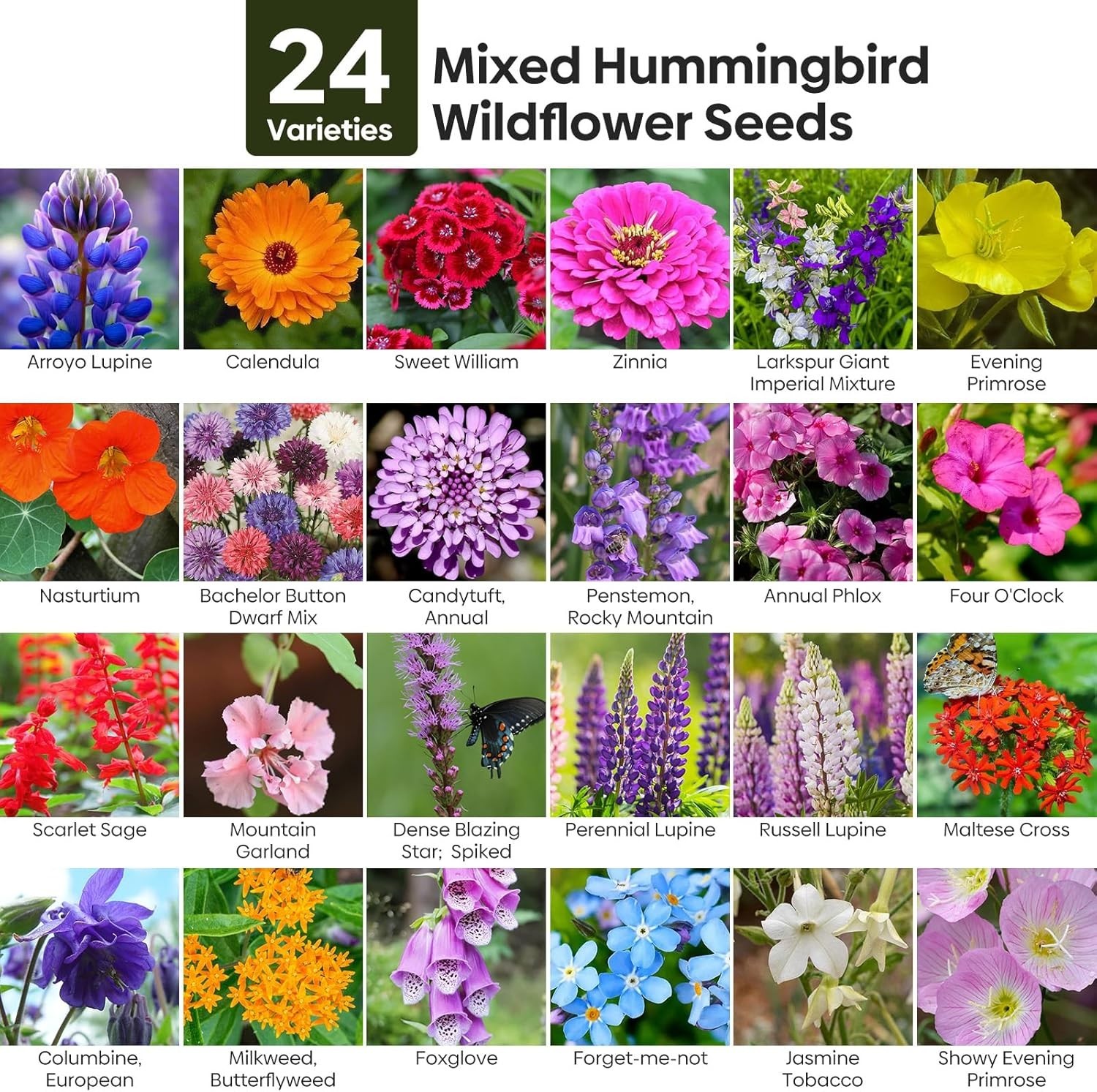 Colorful Wildflower Seeds for Hummingbirds & Butterflies – High Germination Rate