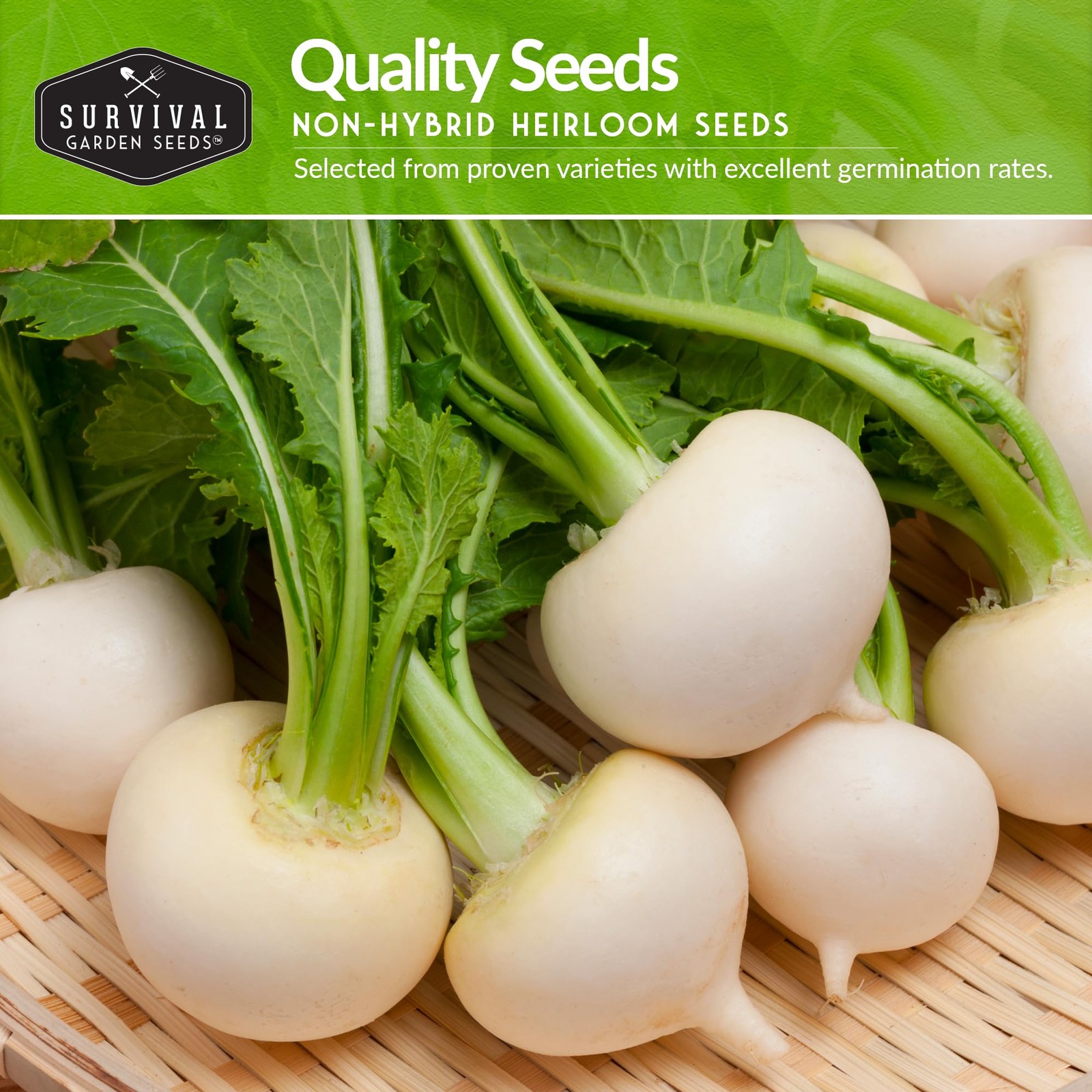 Turnip & Rutabaga Seeds Collection – 3 Varieties for Fall & Spring Multicolor
