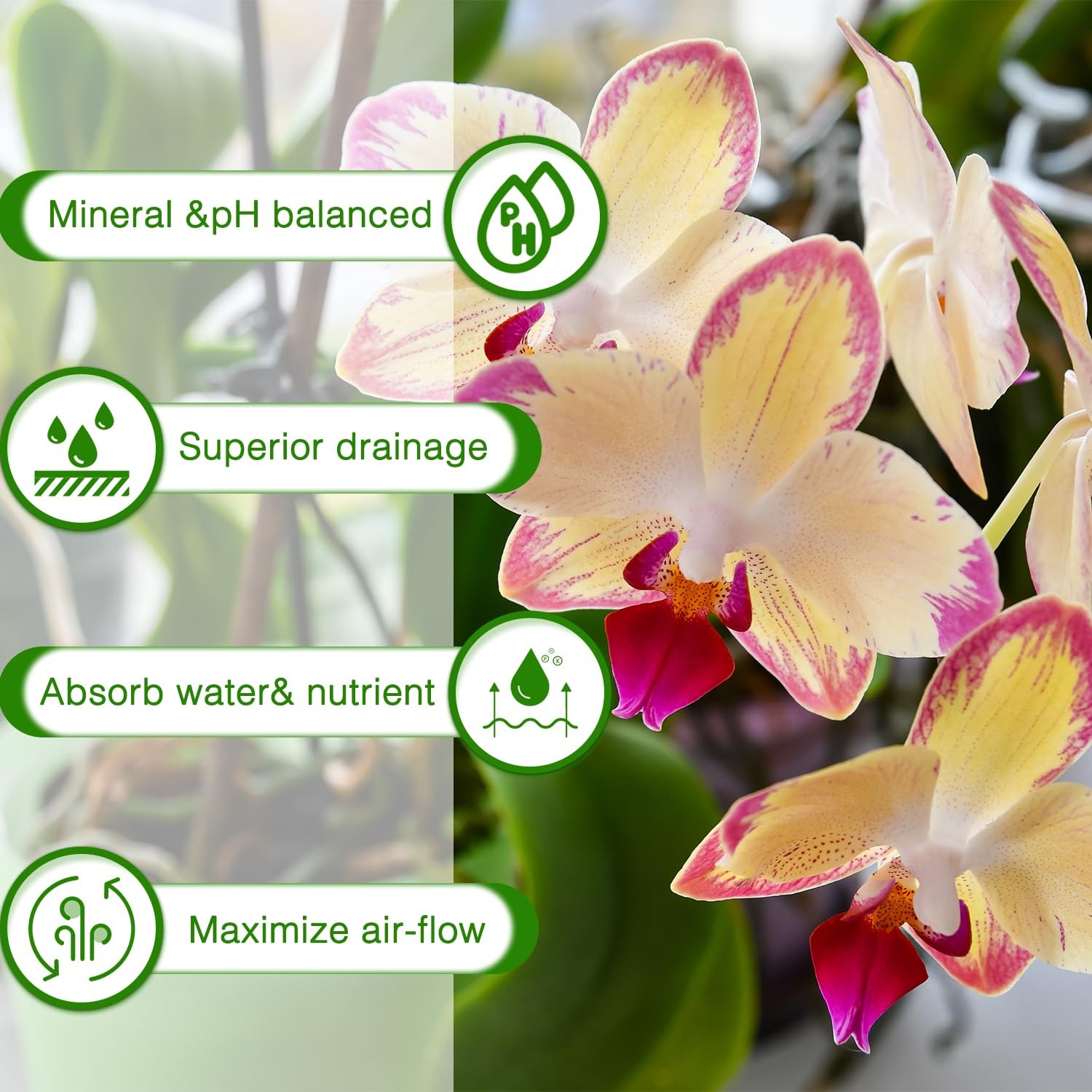 Orchid Bark Potting Mix,Premium Mix 1 Quart