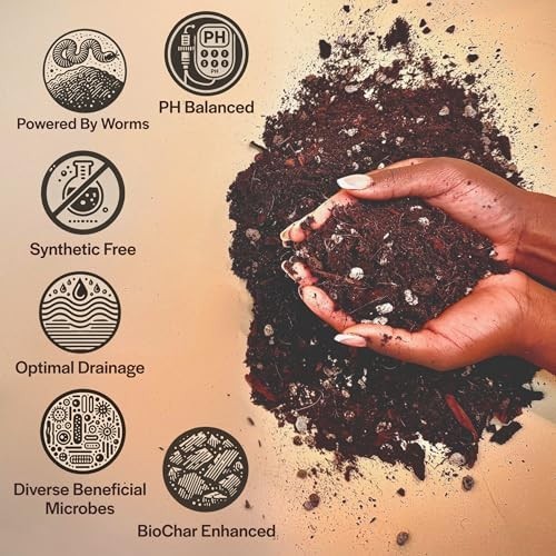 Organic Potting Mix for Alocasia, Philodendron, Monstera – Well Draining Soil, 4
