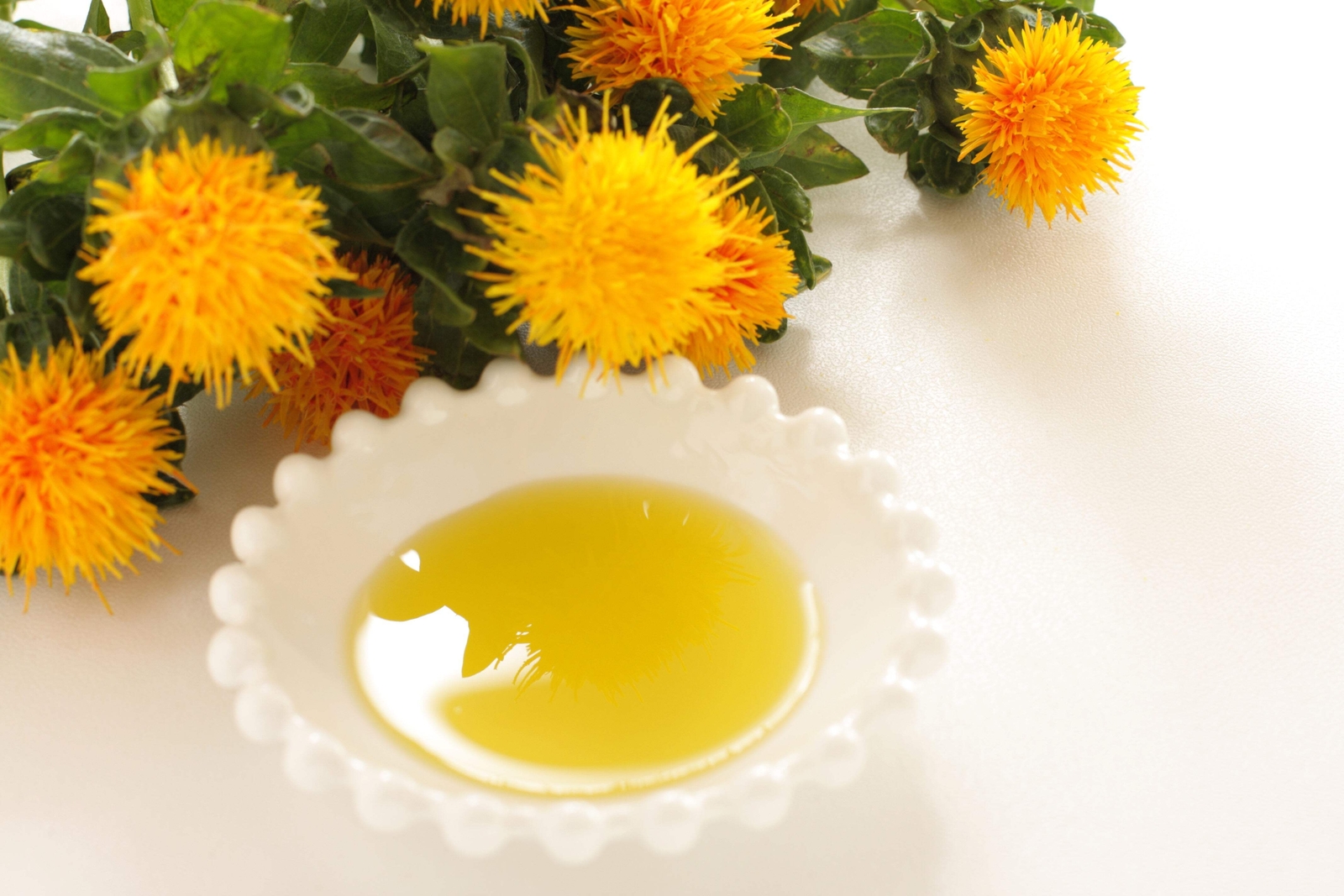 300 SAFFLOWER Saffron Carthamus Tinctorius Yellow Orange Flower Seeds *Comb S/H