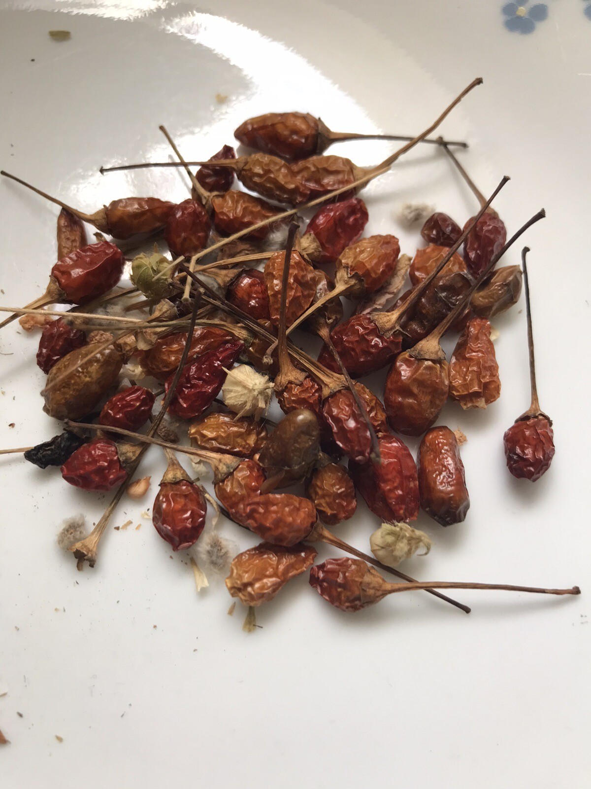 CHILE PEQUIN,BIRD EYE HOT PEPPER SEEDS. 100-SEEDS)