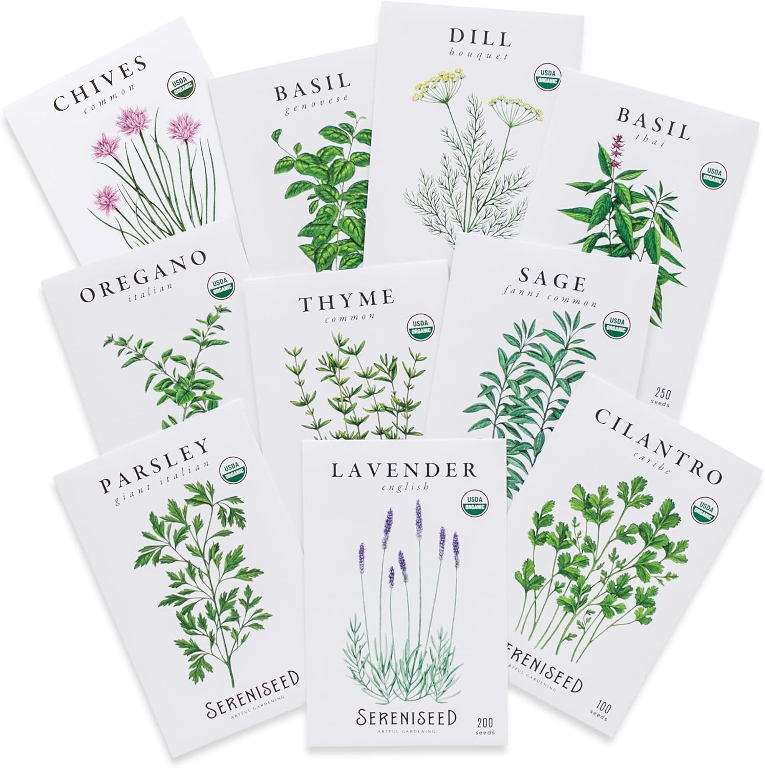 10-Pack Organic Herb Seeds – Non-GMO Heirloom Basil, Cilantro, Oregano & More