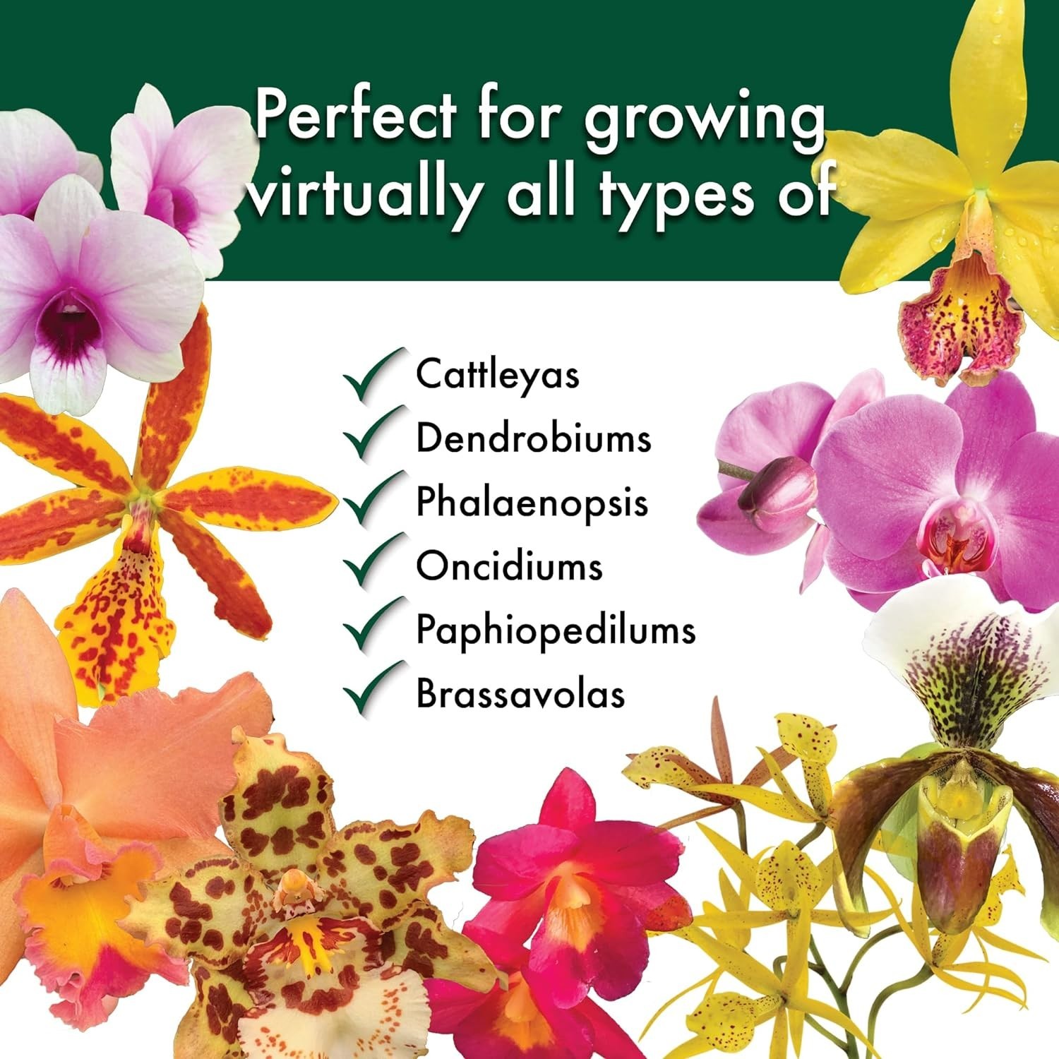 Special Orchid Mix – Bark Potting Mix for Healthy Growth – 4 Quarts